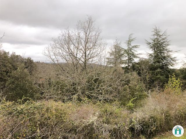 Terrain 3108 m2