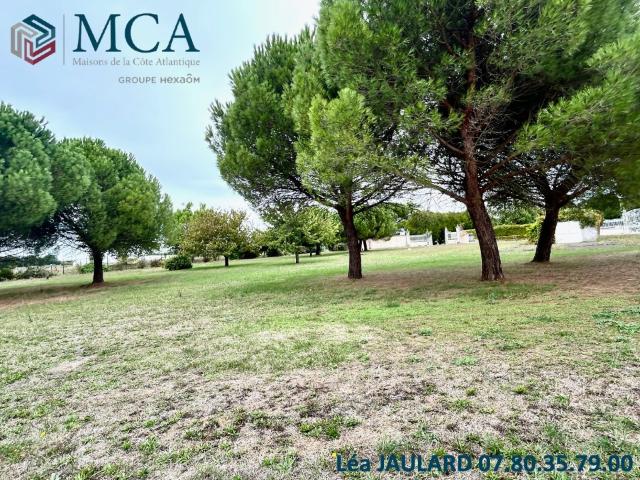 Terrain 310 m2 st rogatien