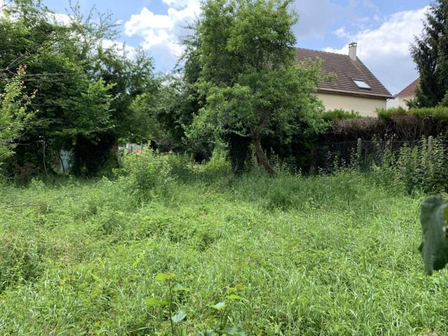 Terrain 315 m²