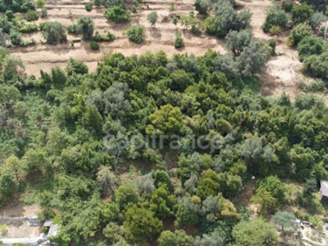 Terrain 3160 m2