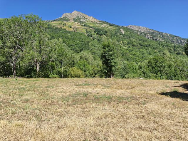 Terrain