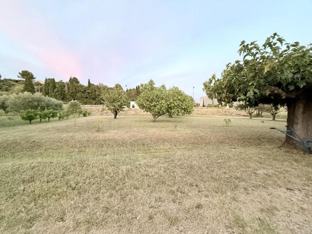 Terrain