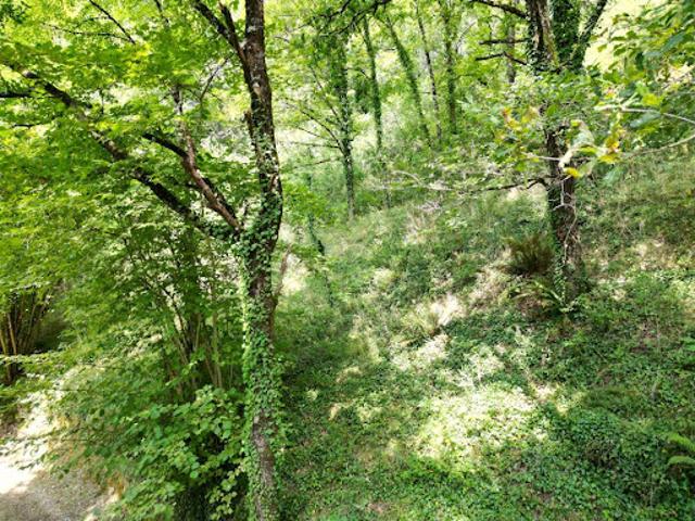 Terrain 3299 m2