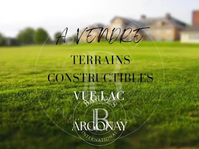 Terrain