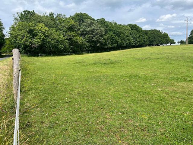 Terrain 3300 m2
