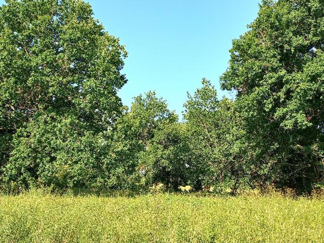 Terrain 3300 m2 montpon menesterol