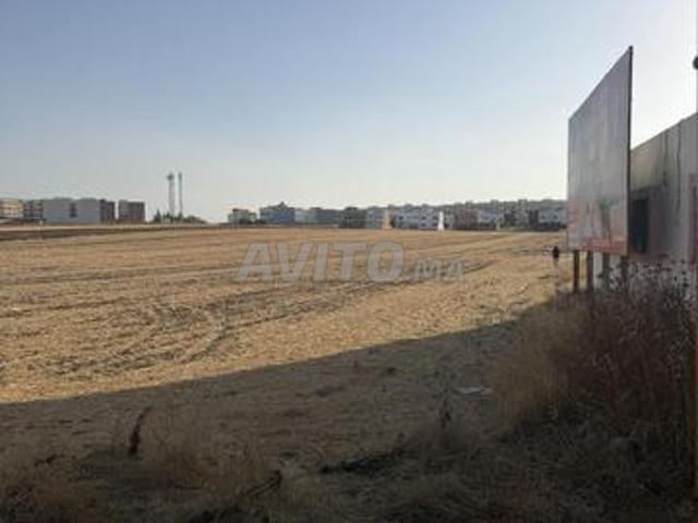 Terrain 33500m2 pour construction Villas