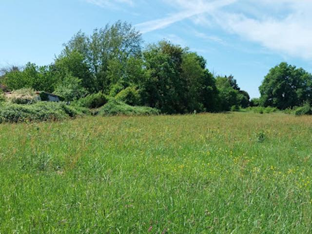 Terrain 3350 m2