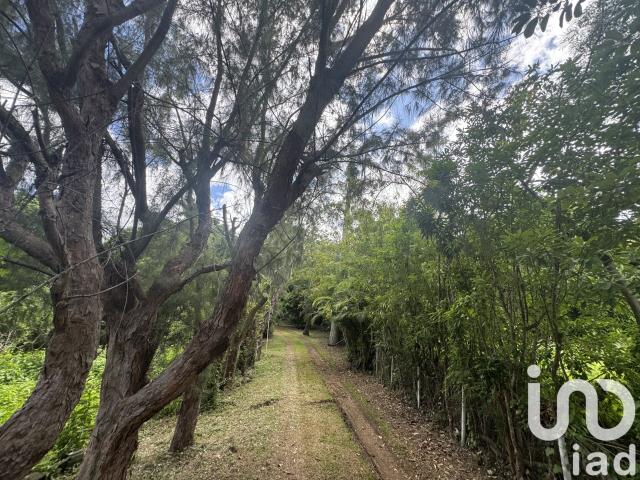 Terrain 3 000 m²