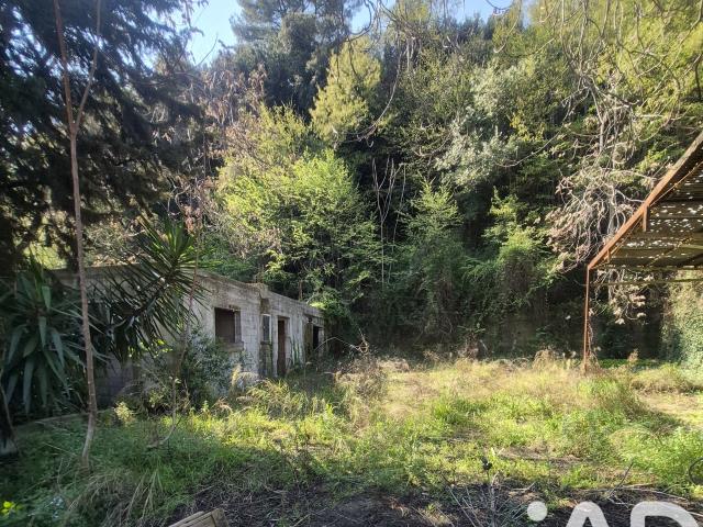 Terrain 3 015 m²