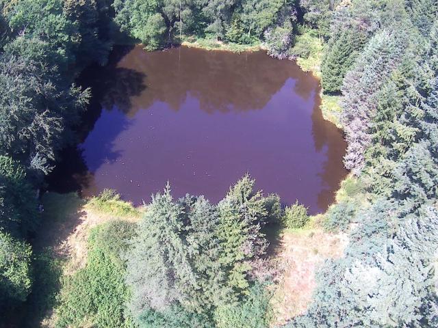 Terrain 3,05 hectares