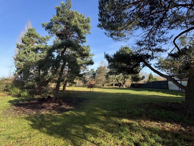 Terrain 3 111 m²