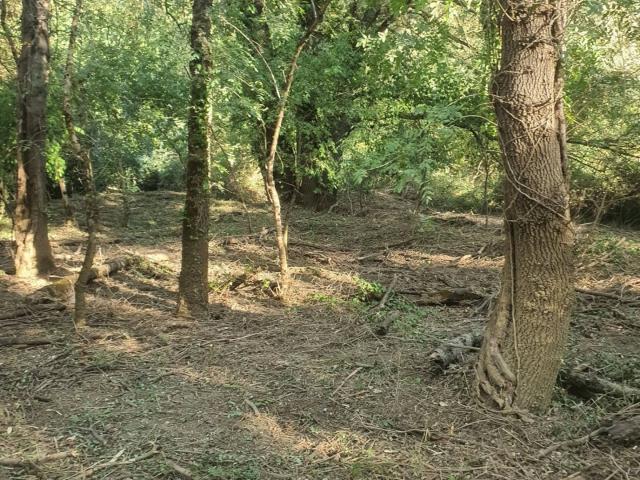 Terrain 3 288 m²