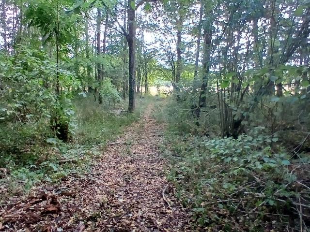 Terrain 3 306 m²