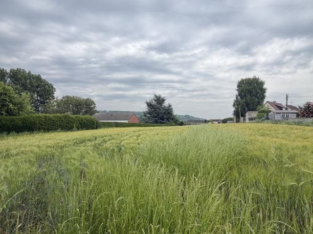 Terrain 3 367 m²