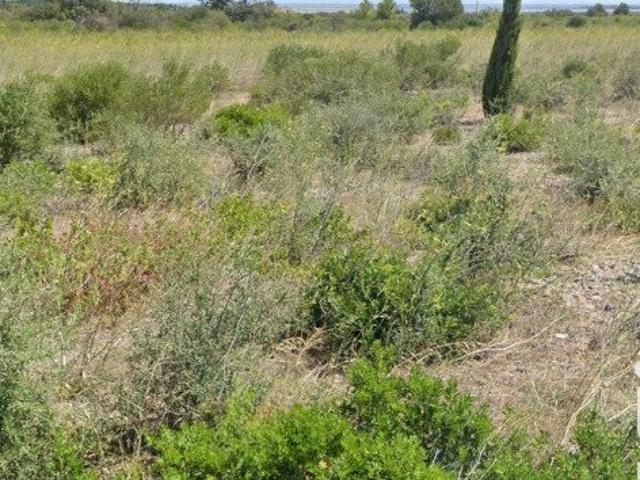 Terrain 3 510 m²