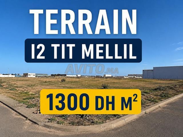 Terrain 3.5ha i2s1 Tit Mellil