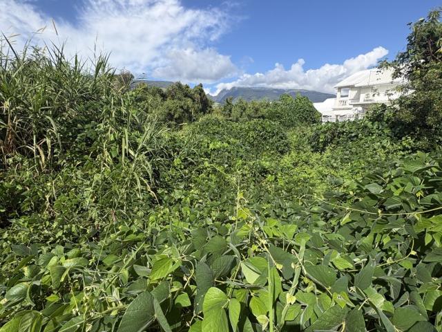 Terrain 3 600 m²