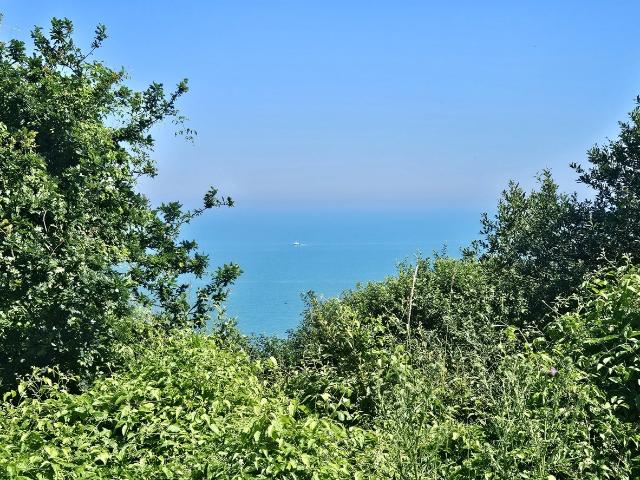 Terrain 3 660 m²