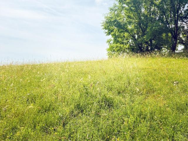 Terrain 3 770 m²