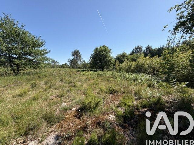 Terrain 3 hectares