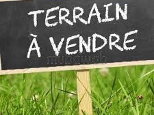 Terrain 3 hectares a vendre RTE Tameslouht km 8