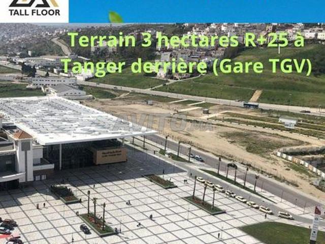 Terrain 3 hectares R 25 à Tanger à vendre