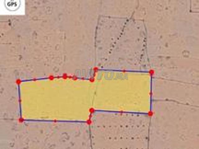 Terrain 3ha à vendre entre amizmiz et tizguine