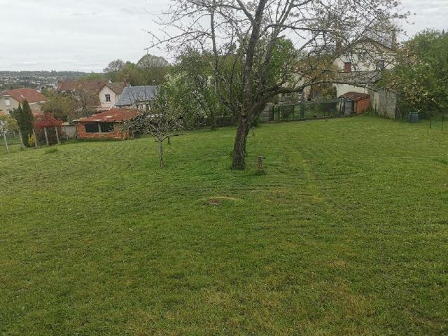 Terrain