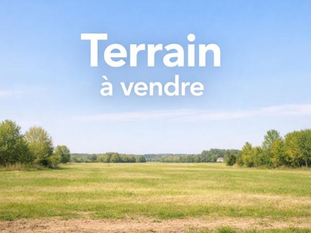 Terrain