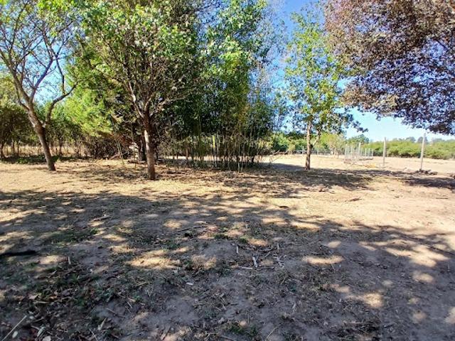 Terrain 4450 m2