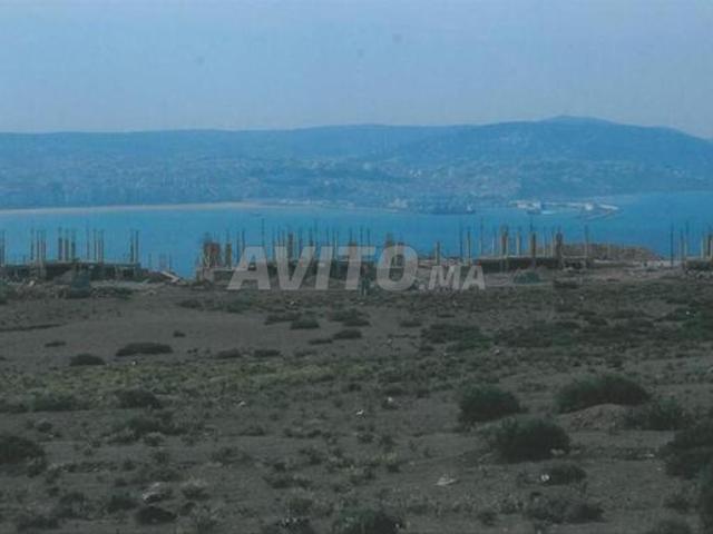 Terrain 4451m² zone villas à vendre