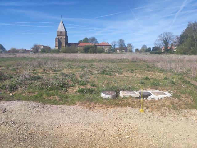Terrain