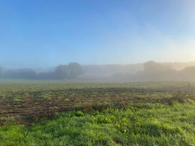 Terrain 448 m2