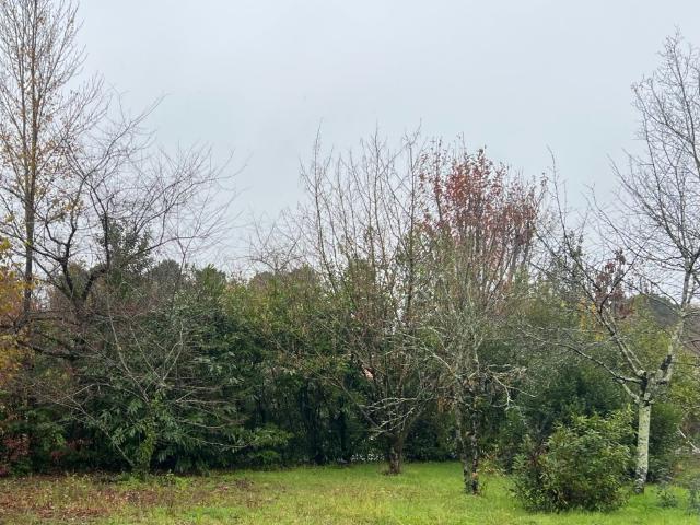 Terrain 450 m2 ambares et lagrave