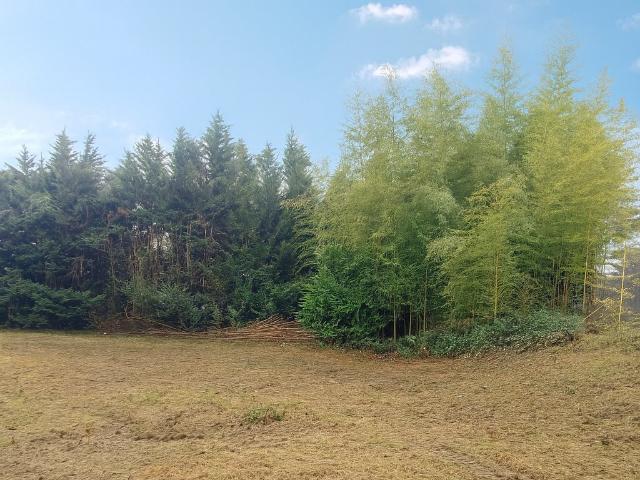 TERRAIN 450m2 LENTILLY