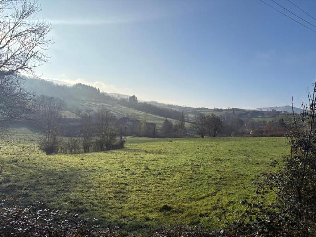 Terrain