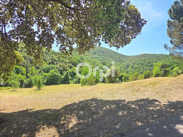 Terrain 4553 m2