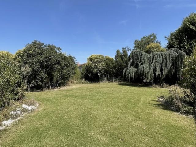 Terrain 458 m²
