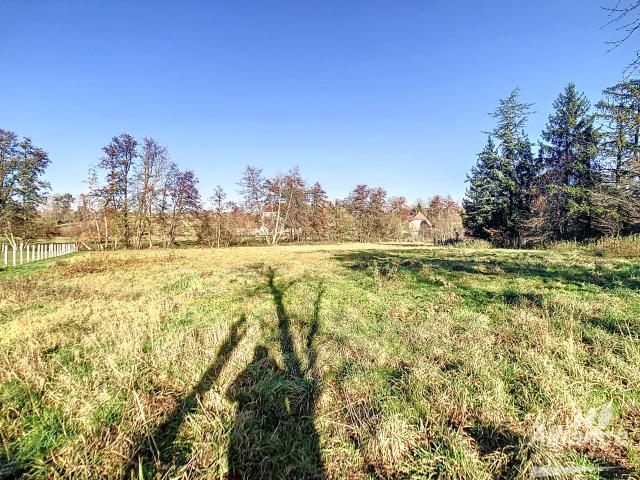 Terrain 45 ares secteur Frontalier