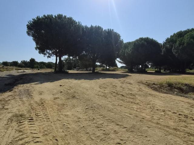 Terrain 467 m²