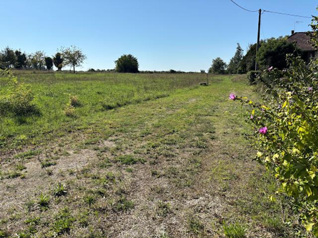 Terrain 4646 m2