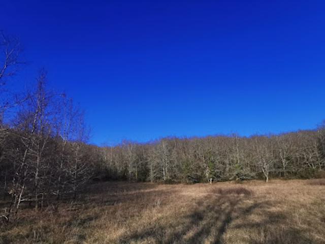 Terrain 4700 m2