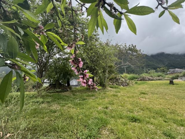 Terrain 471 m²