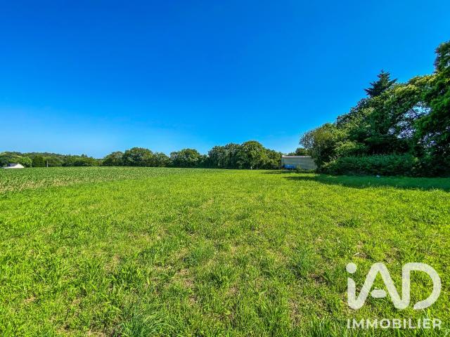 Terrain 481 m²