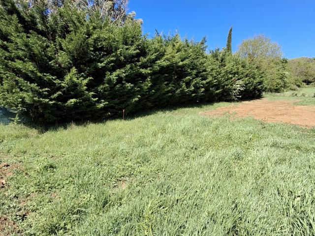 Terrain 481 m²