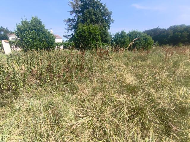 Terrain 482 m2 medis