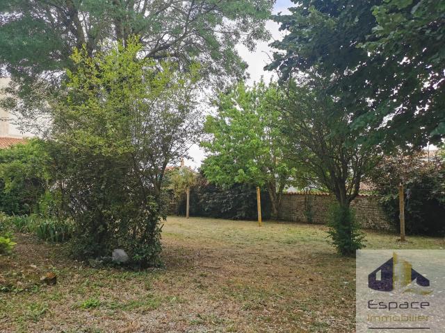 TERRAIN 490 m2