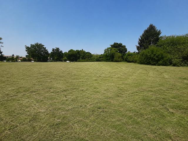 Terrain