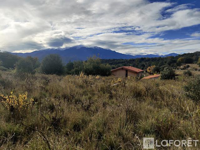 Terrain 4000 m2
